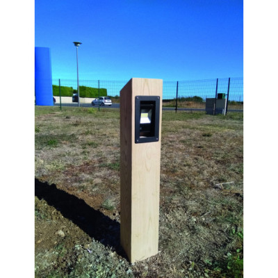 Borne en pin lumineuse 2