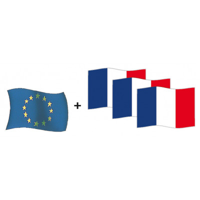 Kit 3 drapeaux France et 1...